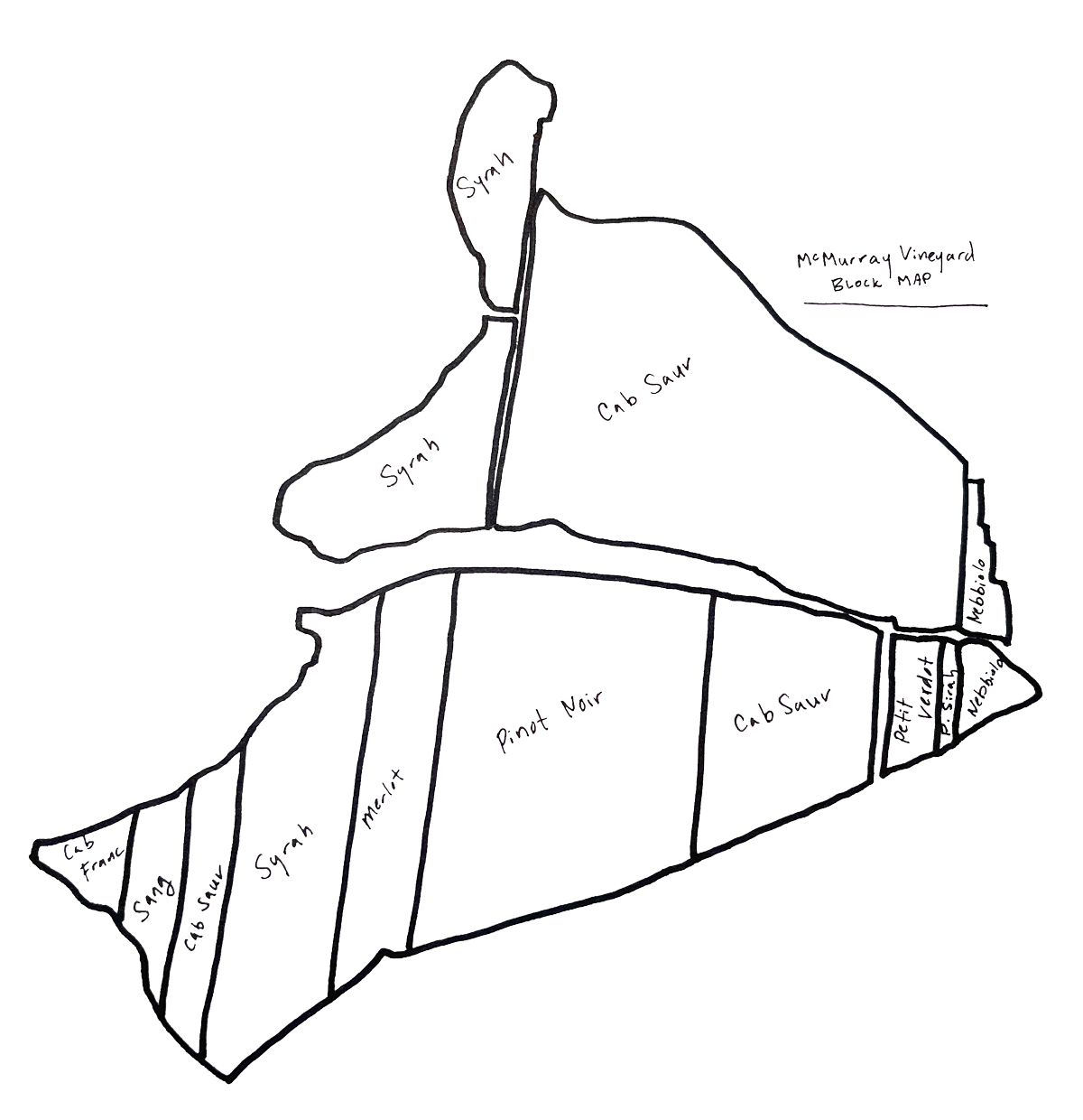 McMurray Vineyard illustration